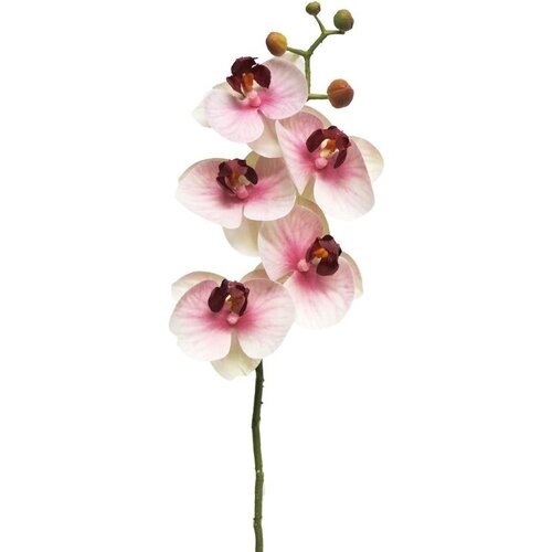 Dekordom cvet ORCHID 58cm 13015-7 - Pink - NNT Cene