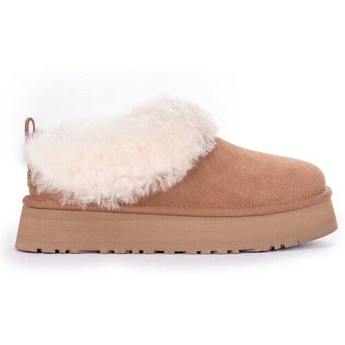 Ugg Gležnjarji Tazzelle pisana Slike