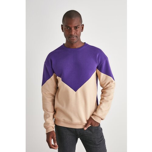 Trendyol Purple Men Paneled Regular Fit Sweatshirt Slike