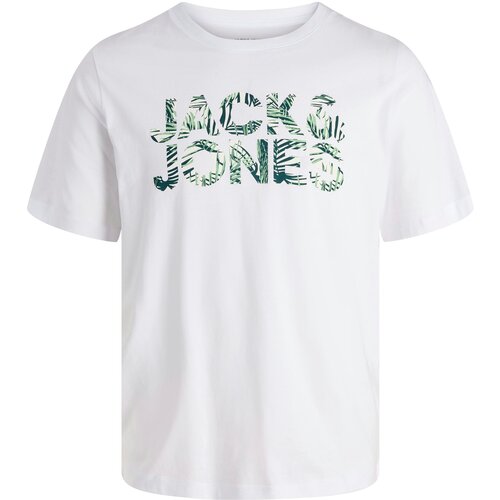 Jack & Jones Majica 'JJEJEFF' zelena / temno zelena / bela / off-bela Cene