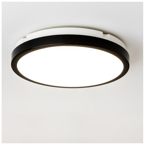  Brilagi - LED plafonsko svetlo za kupatilo PERA LED/24W/230V &Oslash; 28 cm IP65 crna Cene