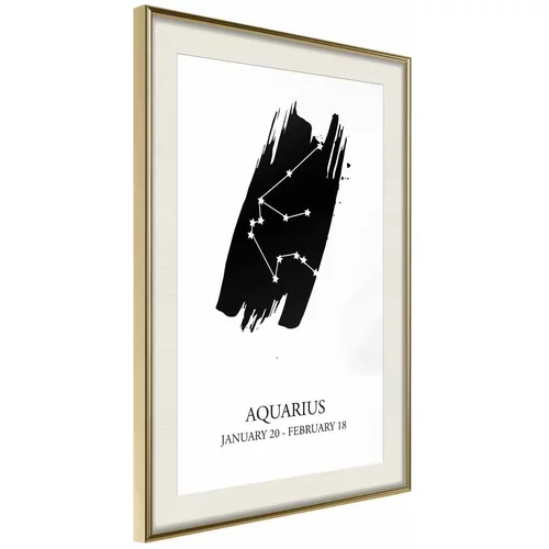  Poster - Zodiac: Aquarius I 40x60