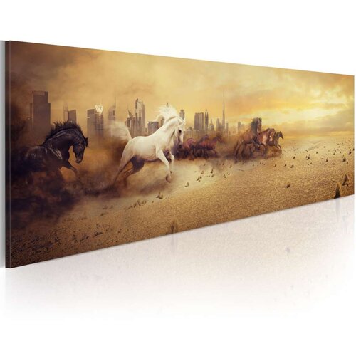 Slika - City of stallions 120x40 Slike