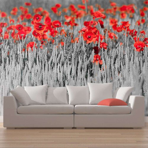  Tapeta - Red poppies on black and white background 450x270 Cijene