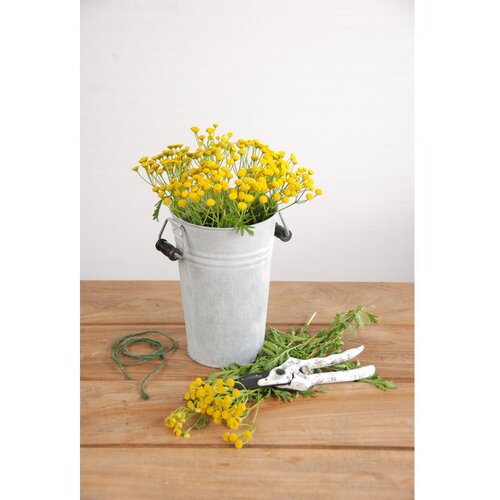 Esschert Design Kovinski cvetlični lonec &amp;oslash; 14 cm &amp;ndash; Slike