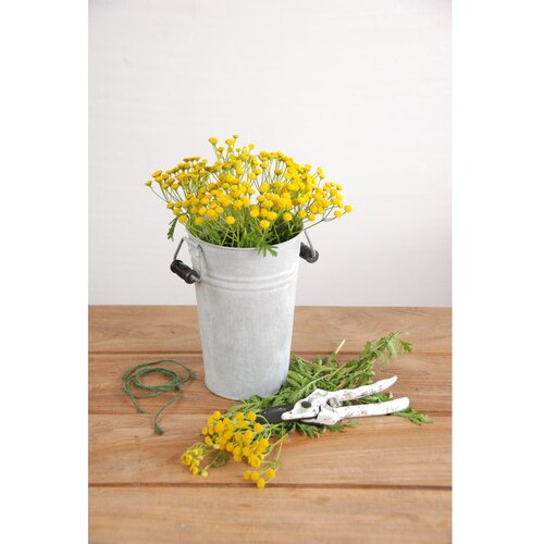 Esschert Design Metalna posuda za cvijeće &amp;oslash; 14 cm &amp;ndash; Slike