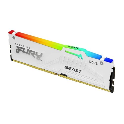 Kingston Technology FURY Beast RGB memorijski modul 32 GB 1 x 32 GB DDR5 ECC Cijene