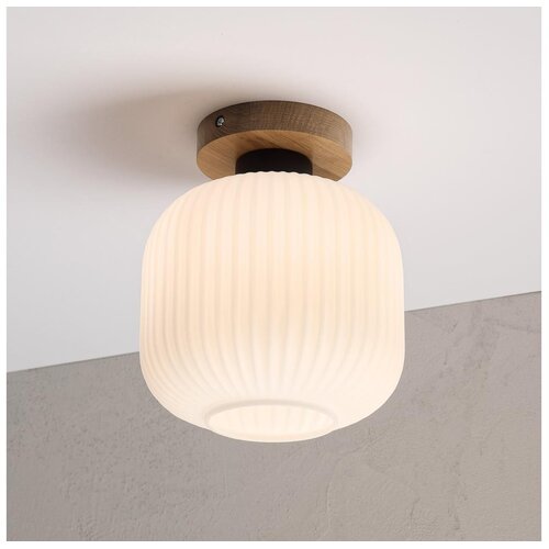  Stropna svetiljka HARMA WOOD 1xE27/15W/230V hrast/bela prečnik 20 cm Cene
