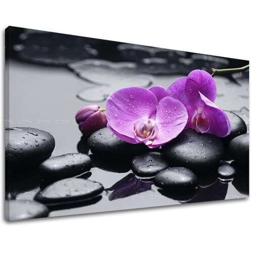  Slike na platnu feng shui FS011E11 (moderne slike na platnu) Cijene