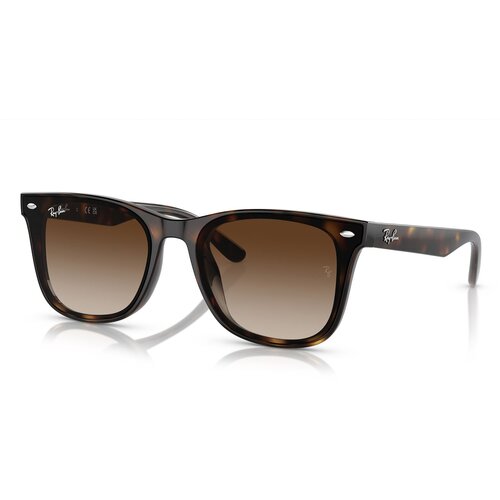 Ray-ban Naočare za sunce RB 4420 710/13 Cene