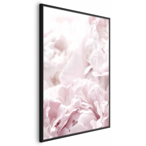  Plakat Fluffy Peonies 29.7x42 Crni okvir Cijene