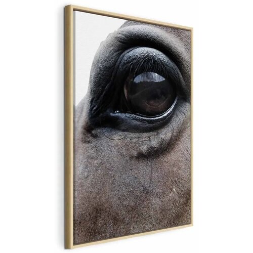  Slika - Honest Eyes (1 Part) Vertical 80x120 U prirodnom drvenom okviru Cijene