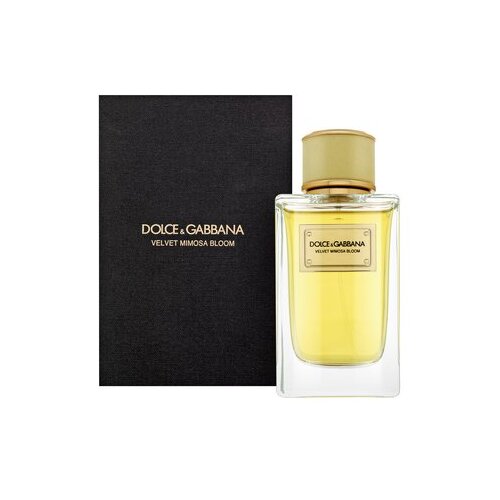 Dolce &amp;amp; Gabbana Velvet Mimosa Bloom parfumirana voda za ženske 150 ml Slike