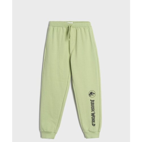 Sinsay Hlače Jurassic World Slike