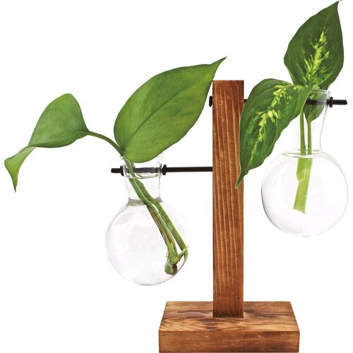Winkee Hydro Vase Fleur - 1 kos Cene