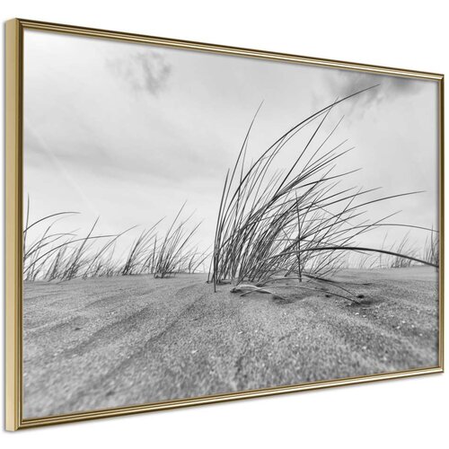  Poster - Seaside Dunes 30x20 Slike