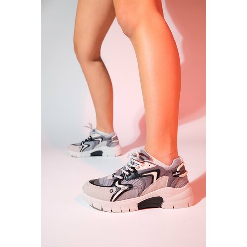 LuviShoes DUJA Gray Black Multi Mesh Women's Thick Sole Sports Sneakers Slike
