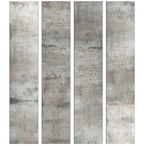  Tapeta - Gray pigeon 50x1000 Premium Slike