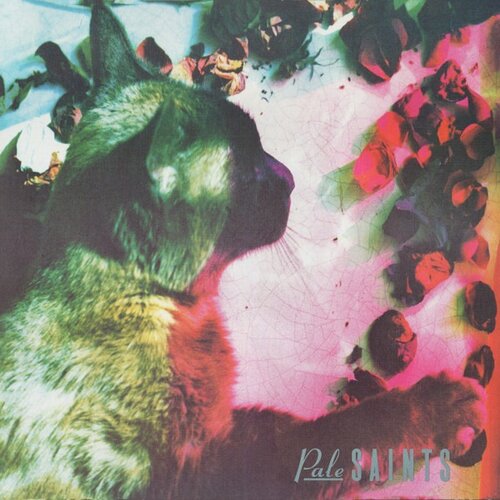  PALE SAINTS - The Comforts Of Cene