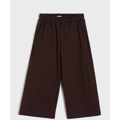 Sinsay Donji dio trenirke wide leg s flisom Cene