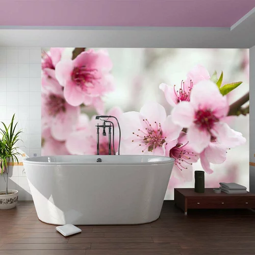  tapeta - Spring blooming tree - pink flowers 350x270