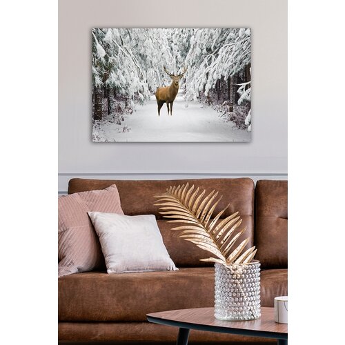 Opviq slika na platnu 50x70cm Cene