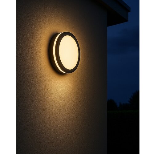  LED kupatilsko stropno svetlo sa senzorom ELL&amp;Eacute;, LED/24W/230V, prečnik 26 cm, IP54, antracit Slike