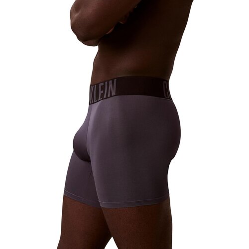 Calvin Klein Jeans Boksarice BOXER BRIEF 3PK 000NB3612A Modra Cene