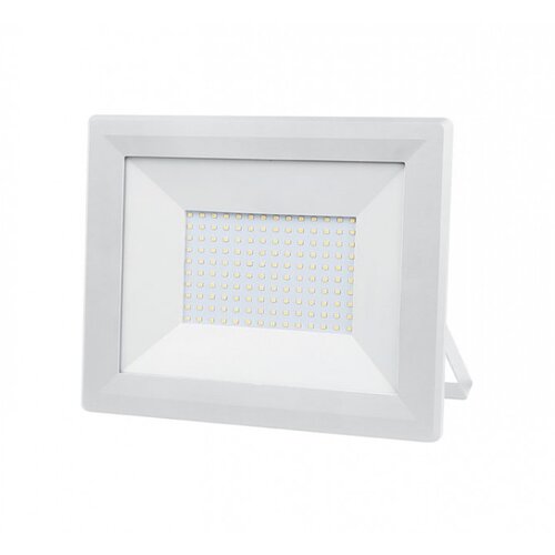 E-light LED REFLEKTOR 100W 6400K BIJELI Cijene