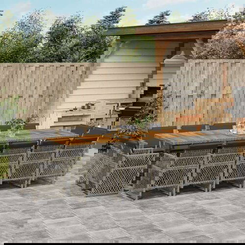 vidaXL 15-dijelni vrtni blagovaonski set s jastucima poliratan sivi Cijene