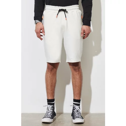 ALTINYILDIZ CLASSICS Men's Ecru Standard Fit Regular Fit Cotton Pocket Shorts