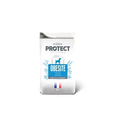  Pro nutrition tect dog obesite 2kg Cene