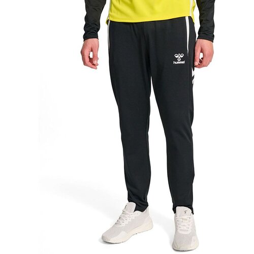 Hummel Mu&scaron;ki donji deo trenerke Hmllead 2.0 Training Pants, Crni Cene