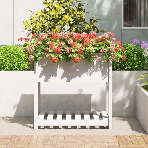  Sadilica s policom bijela 82,5x54x81 cm od masivne borovine Slike