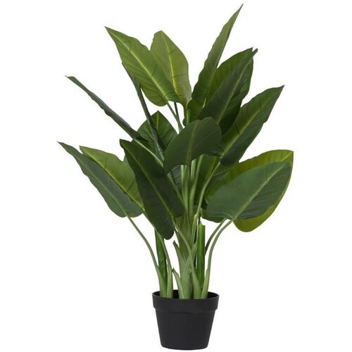 Ambia Home UMETNA RASTLINA 50/88/50 cm Slike