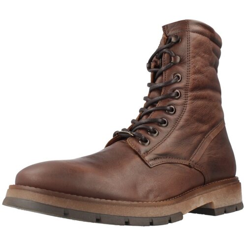 Cetti C1399 INV26 Smeđa Slike