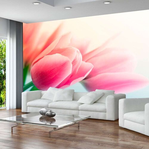  Tapeta - Spring and tulips 400x309 Slike