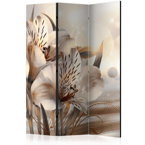 Paravan u 3 dijela - Princesses of the Morning [Room Dividers] 135x172 Slike