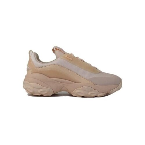 Fila Loligo sarena Slike
