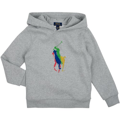 Polo Ralph Lauren Puloverji PO HOOD-KNIT SHIRTS-SWEATSHIRT Siva Slike