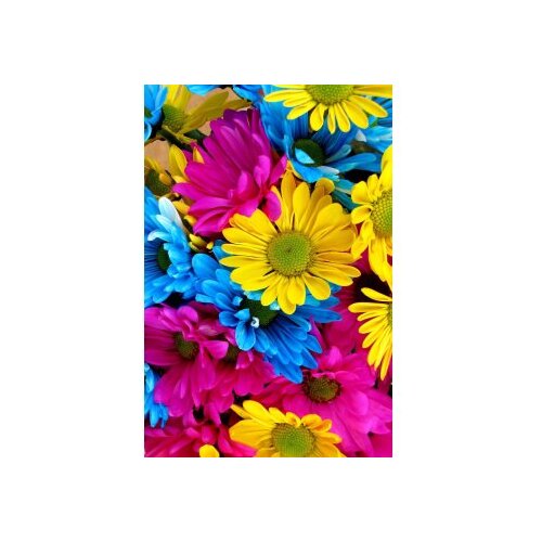 Conceptum Hypnose tepih (100x150) HMNT505 Slike
