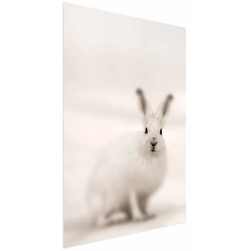  Plakat - Fearful Look 40x60 Bez okvira Cijene