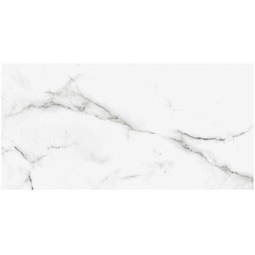  Granitogresne plo&amp;scaron;čice Silk Marble (61 x 30,5 cm, Siva, Svilnati sijaj) Slike