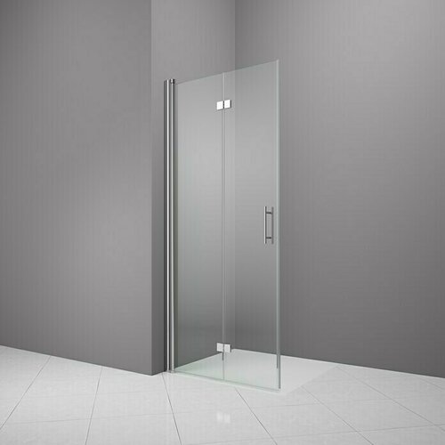 CAMARGUE Vario Sklopiva vrata za tuširanje S52 (80 x 195 cm, Premazano, Debljina: 6 mm, Srebrne boje) Cijene
