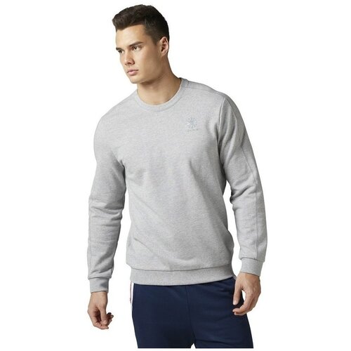 Reebok F Franchise FT Crew Siva Slike