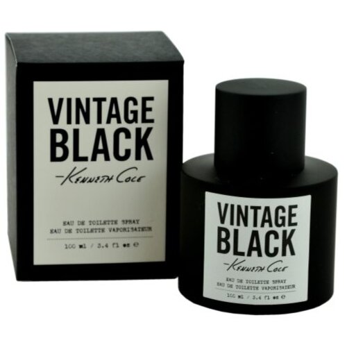Kenneth Cole Vintage Black toaletna voda za moške 100 ml Cene