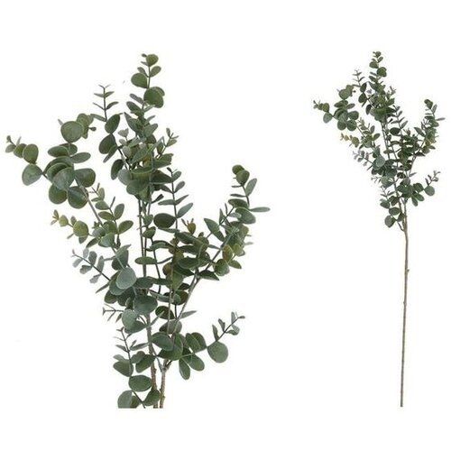  EUKALIPTUS 81CM VD/CL PVC Cene