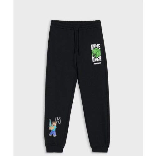 Sinsay Jogger hlače Minecraft Cijene