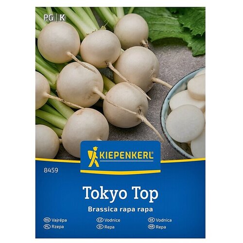 KIEPENKERL Zelenjavna semena Repa Tokyo Top (Brassica rapa subsp. rapa, Čas žetve: Maj) Cene