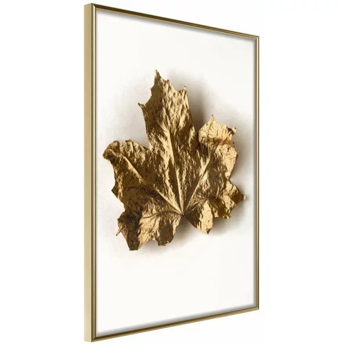  Poster - Dried Maple Leaf 40x60